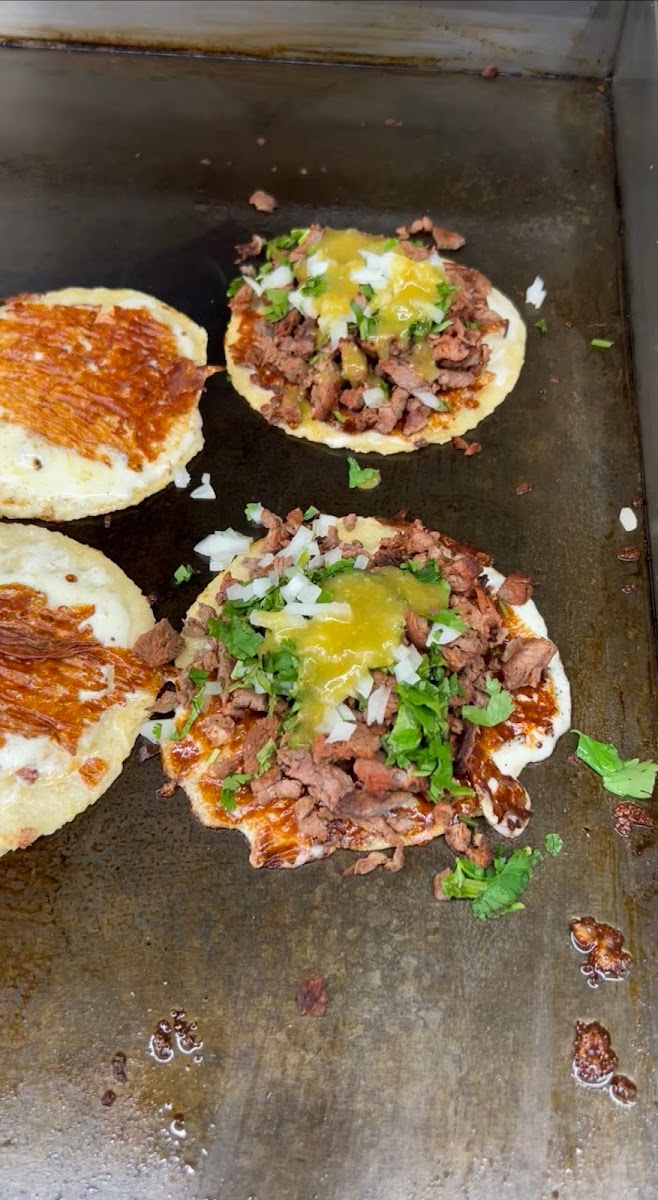 Hungry Bear Tacos Photos 2